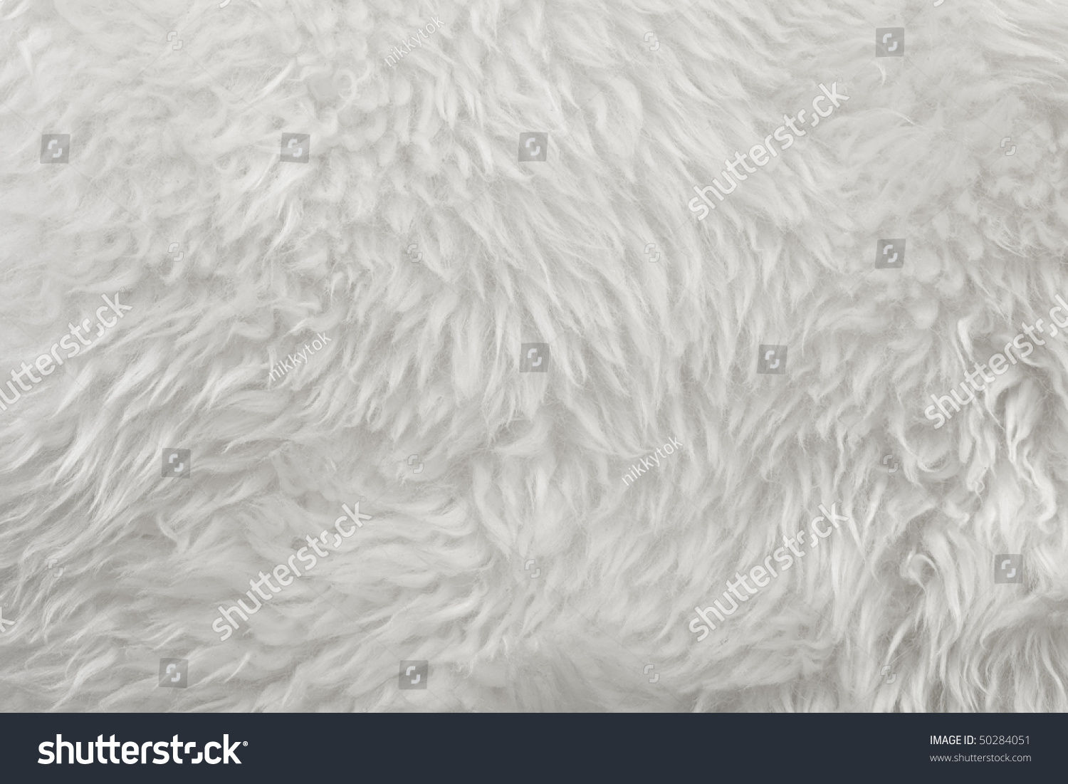 White Fur Stock Photo 50284051 : Shutterstock