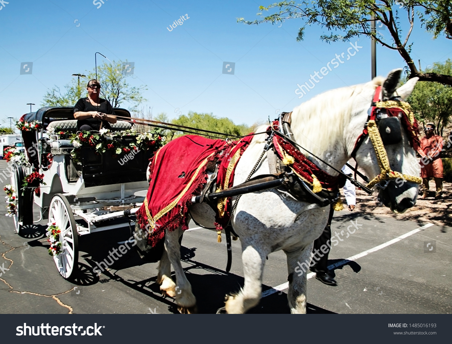 White Horse Yellow Red Pattern Fabric Stock Photo Edit Now