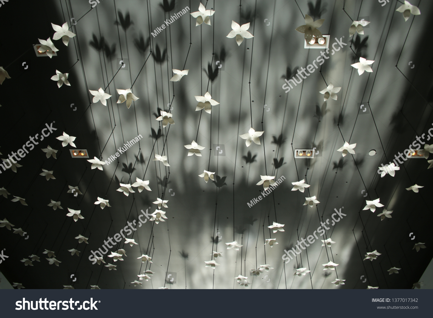 White Leaves Simulating Snowflakes Hang Ceiling Stock Photo Edit