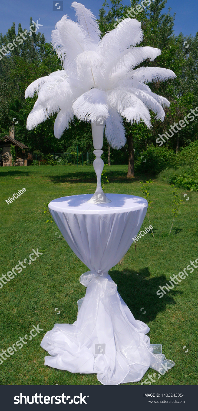 White Ostrich Feather Vase On White Stock Photo Edit Now 1433243354