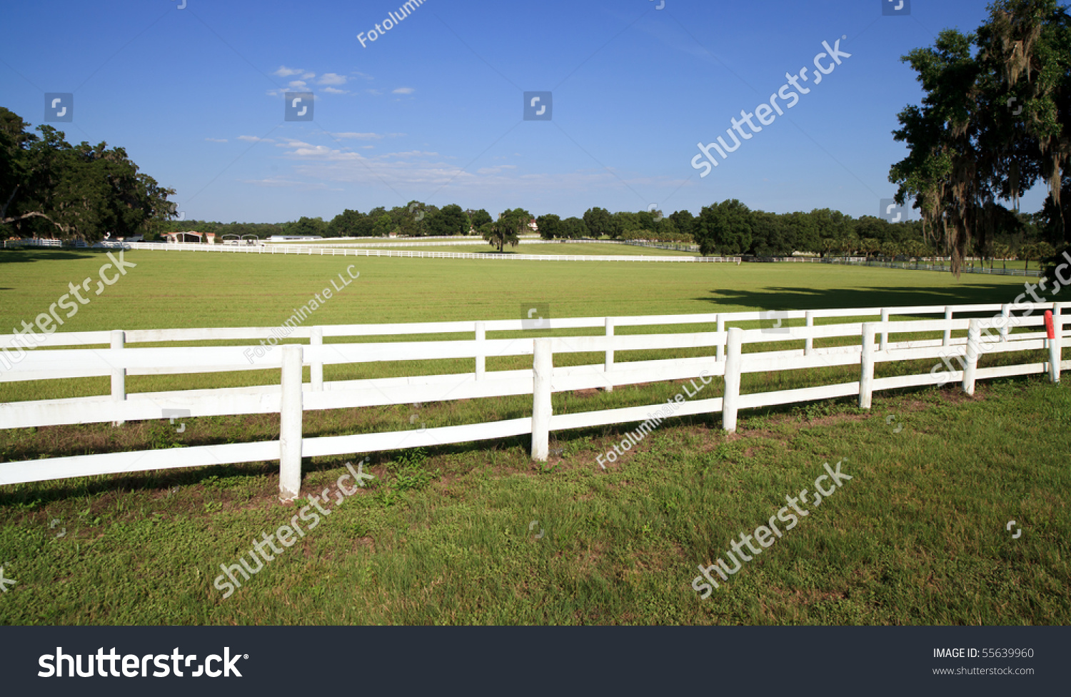 White Picket Fence On Farmranch Stock Photo 55639960 - Shutterstock