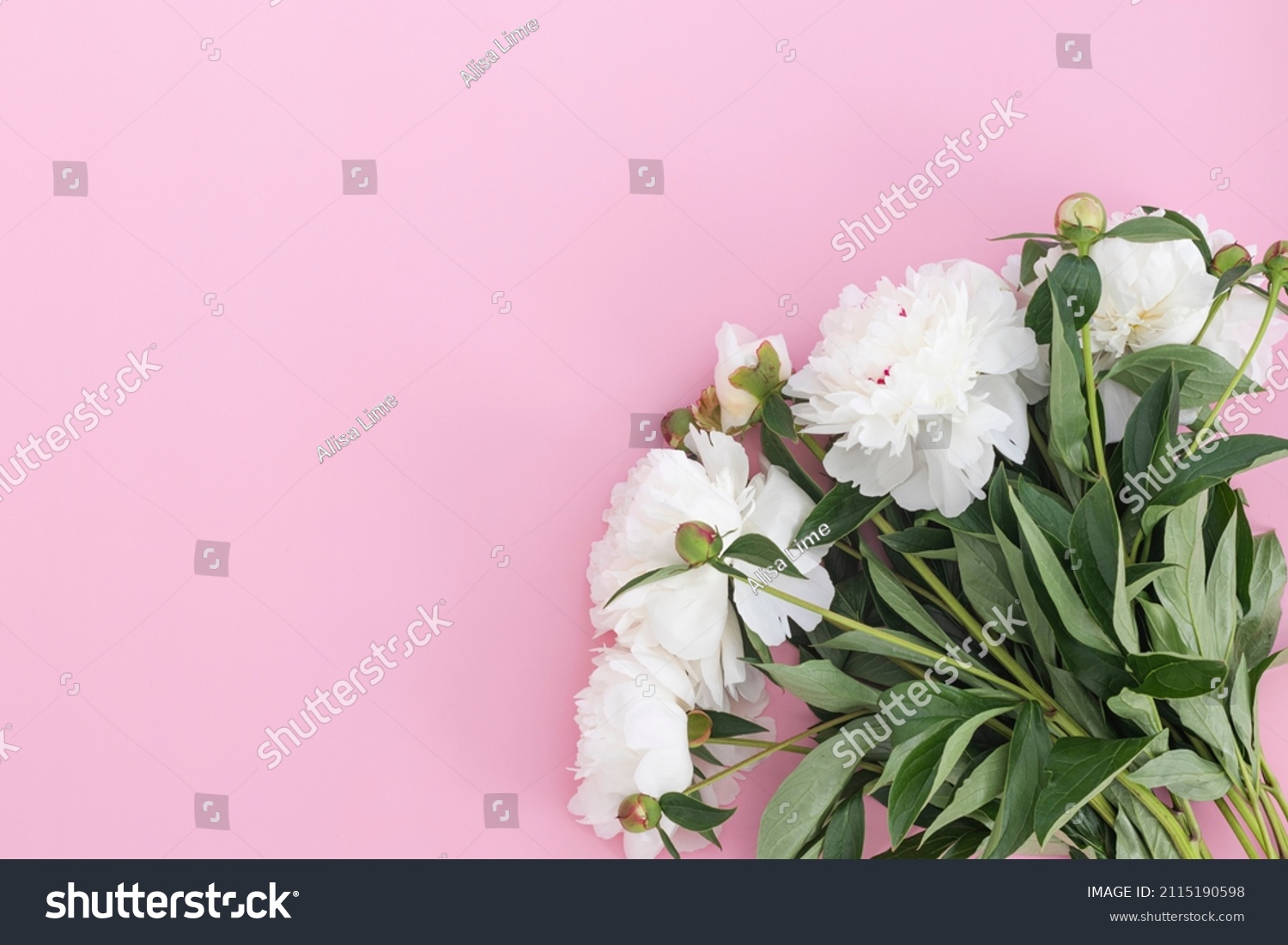 Pion Stock Photos, Images & Photography | Shutterstock