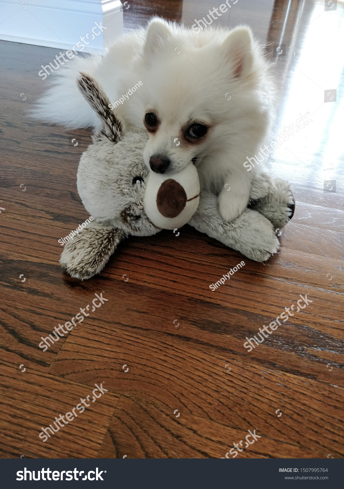 white pomeranian stuffed animal