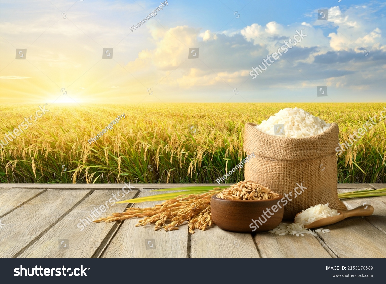 2,908 Paddy bag Images, Stock Photos & Vectors | Shutterstock