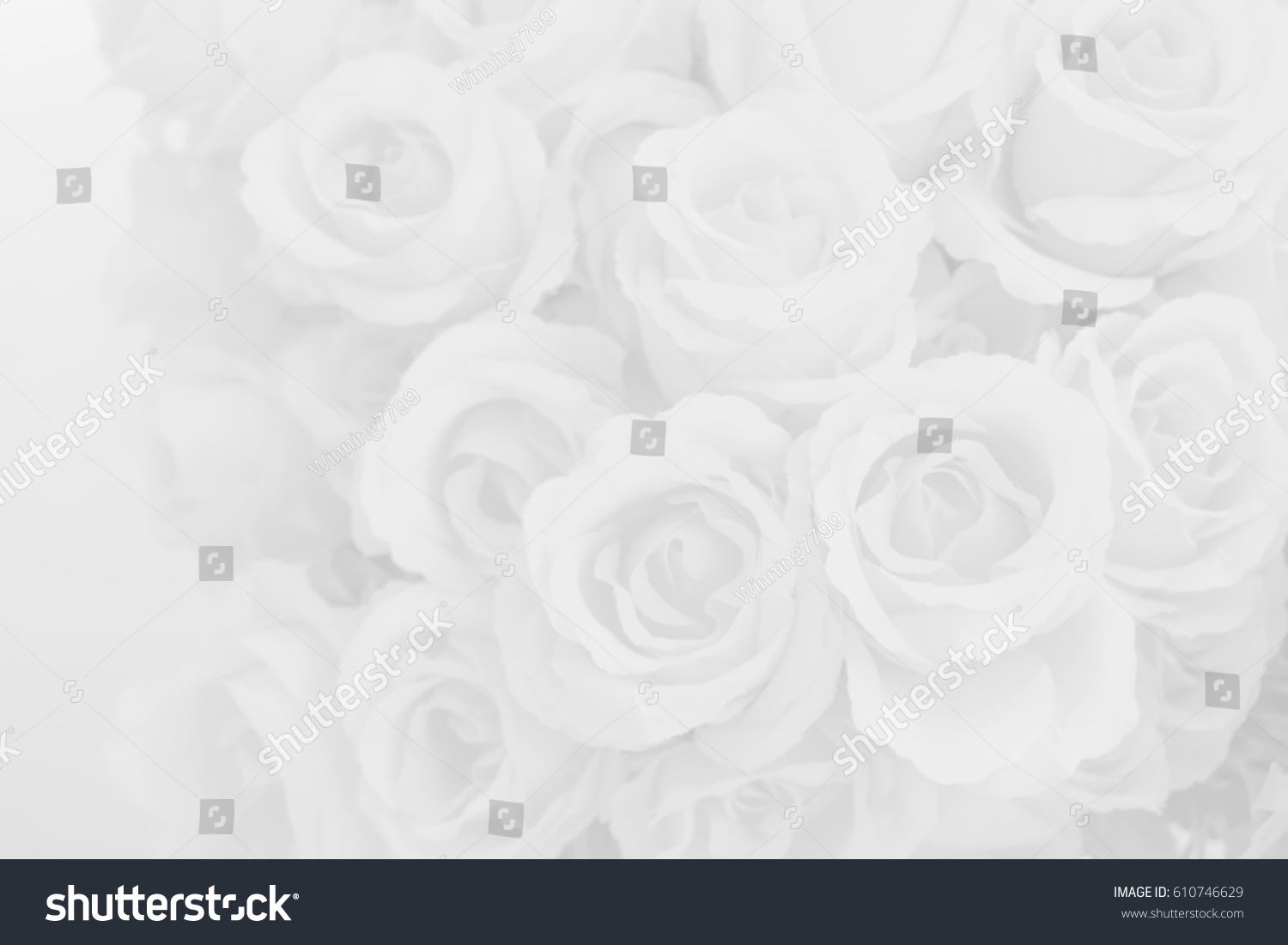 828,280 Rose design background Stock Photos, Images & Photography ...