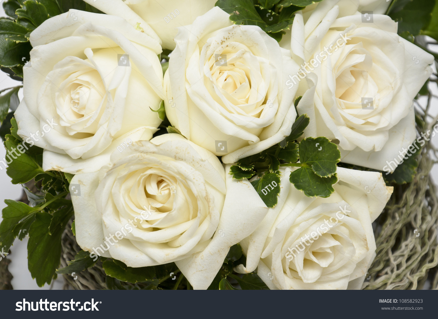 White Roses, Elegant Bouquet Background Stock Photo 108582923 ...