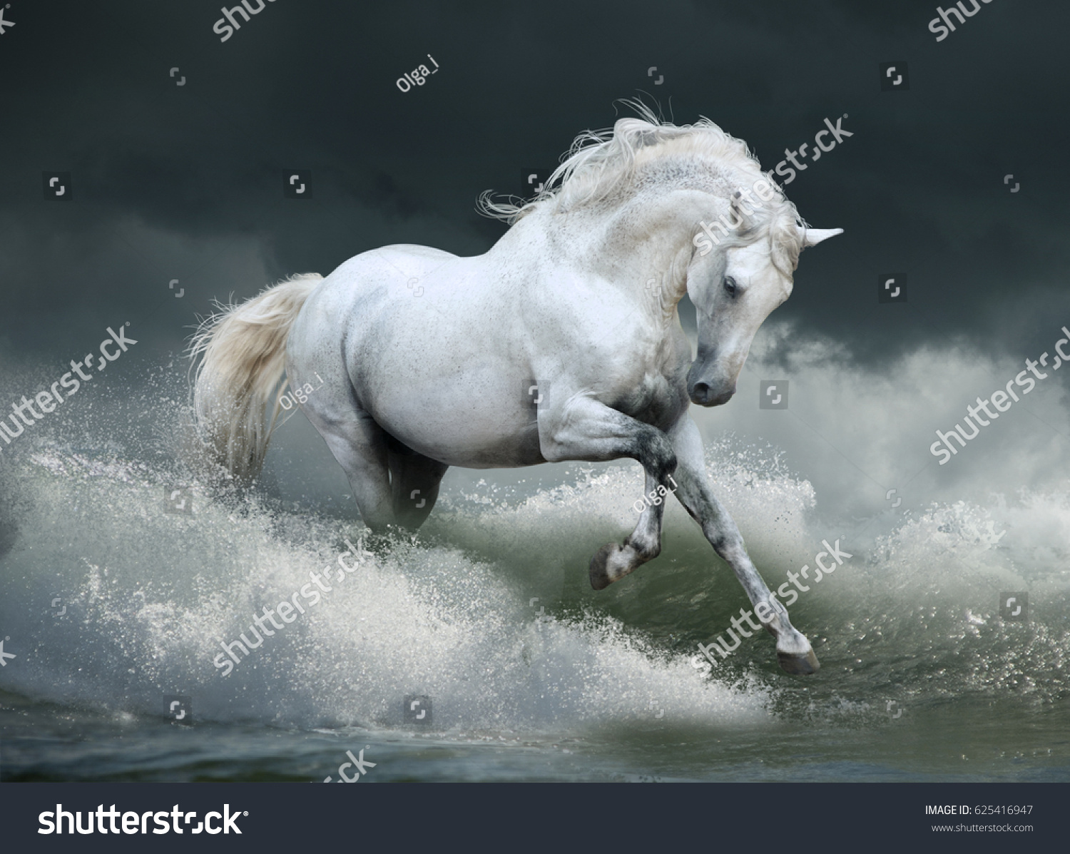 177,830 White stallion Images, Stock Photos & Vectors | Shutterstock