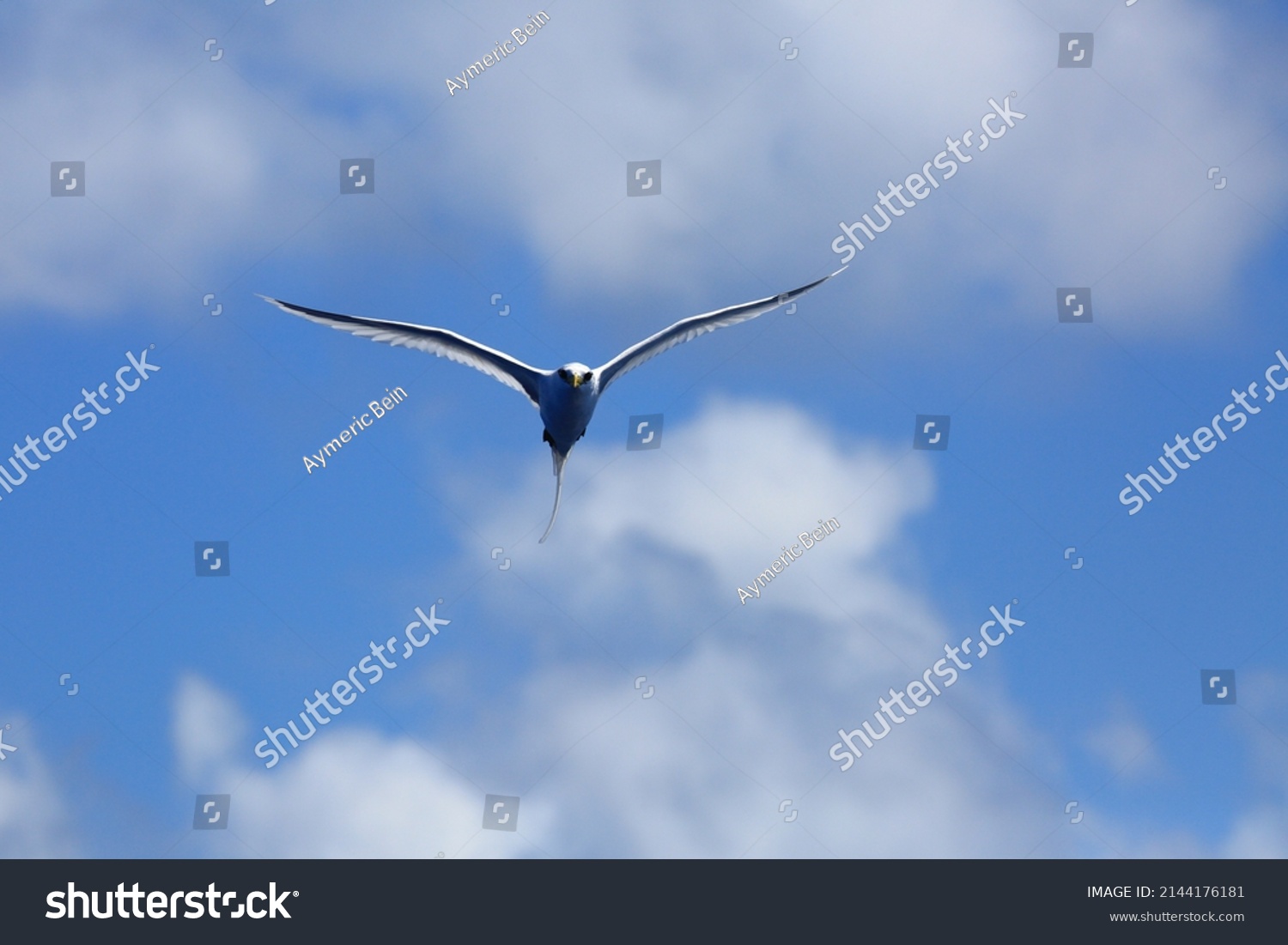 25,573 Tropical flying island Images, Stock Photos & Vectors | Shutterstock