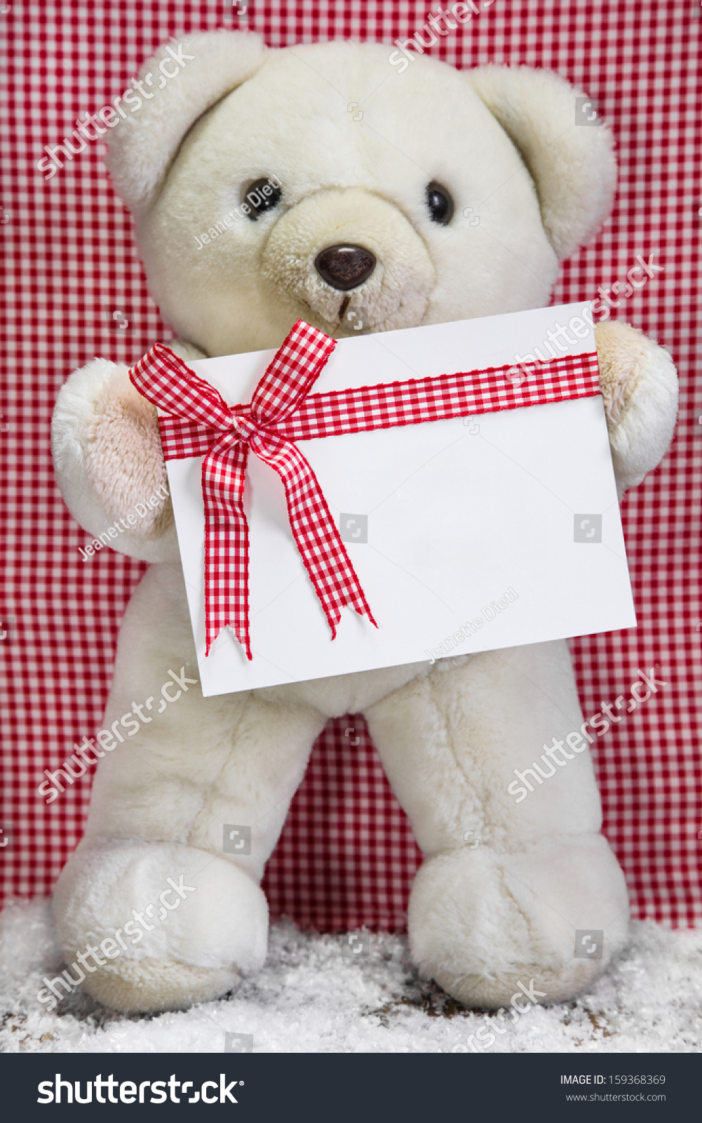 teddy bear holding a box