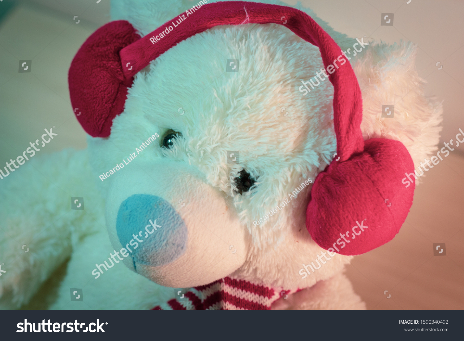 blue nose teddy bear