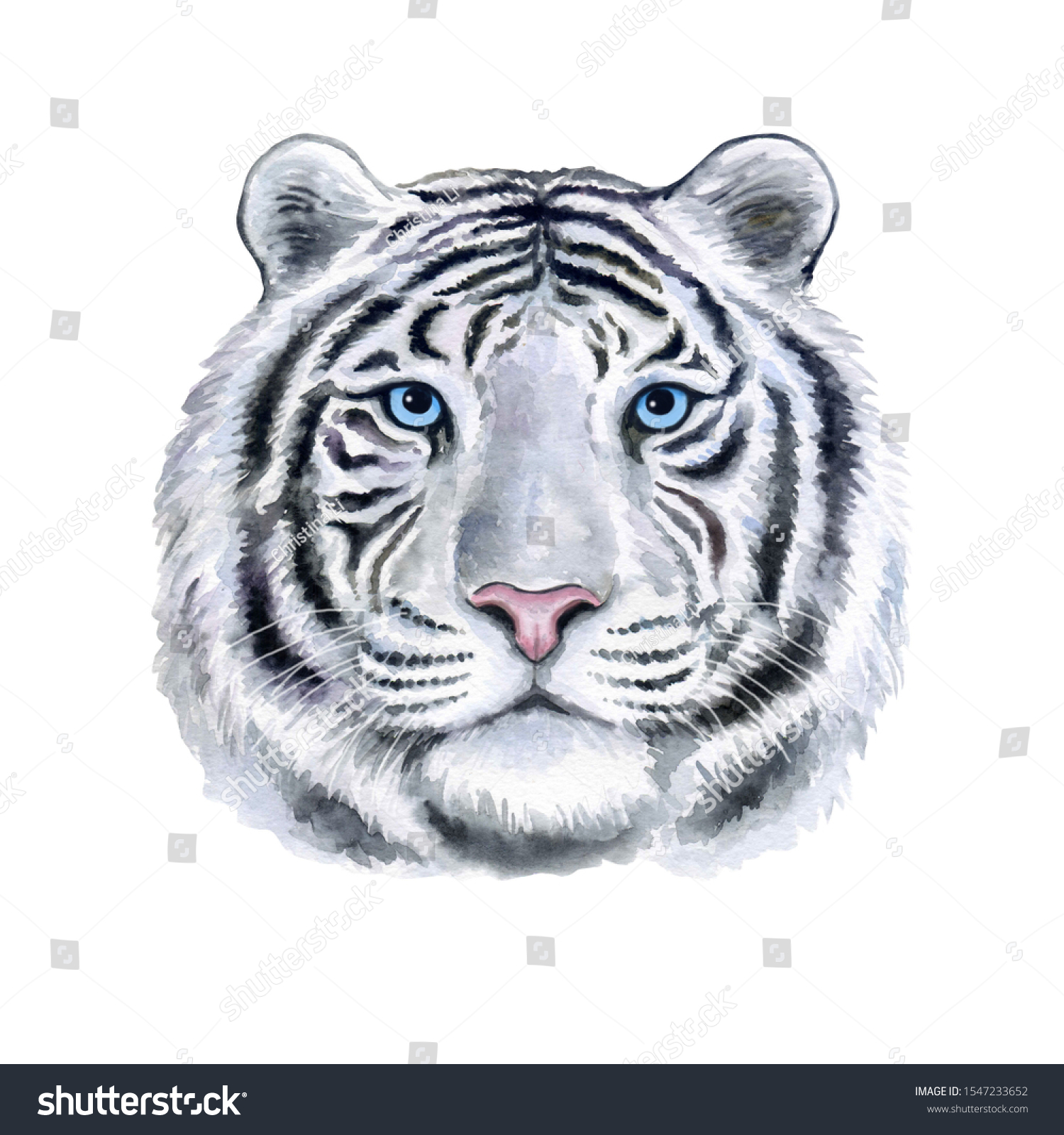 Retrato De Tigre Blanco Con Ojos Ilustracion De Stock