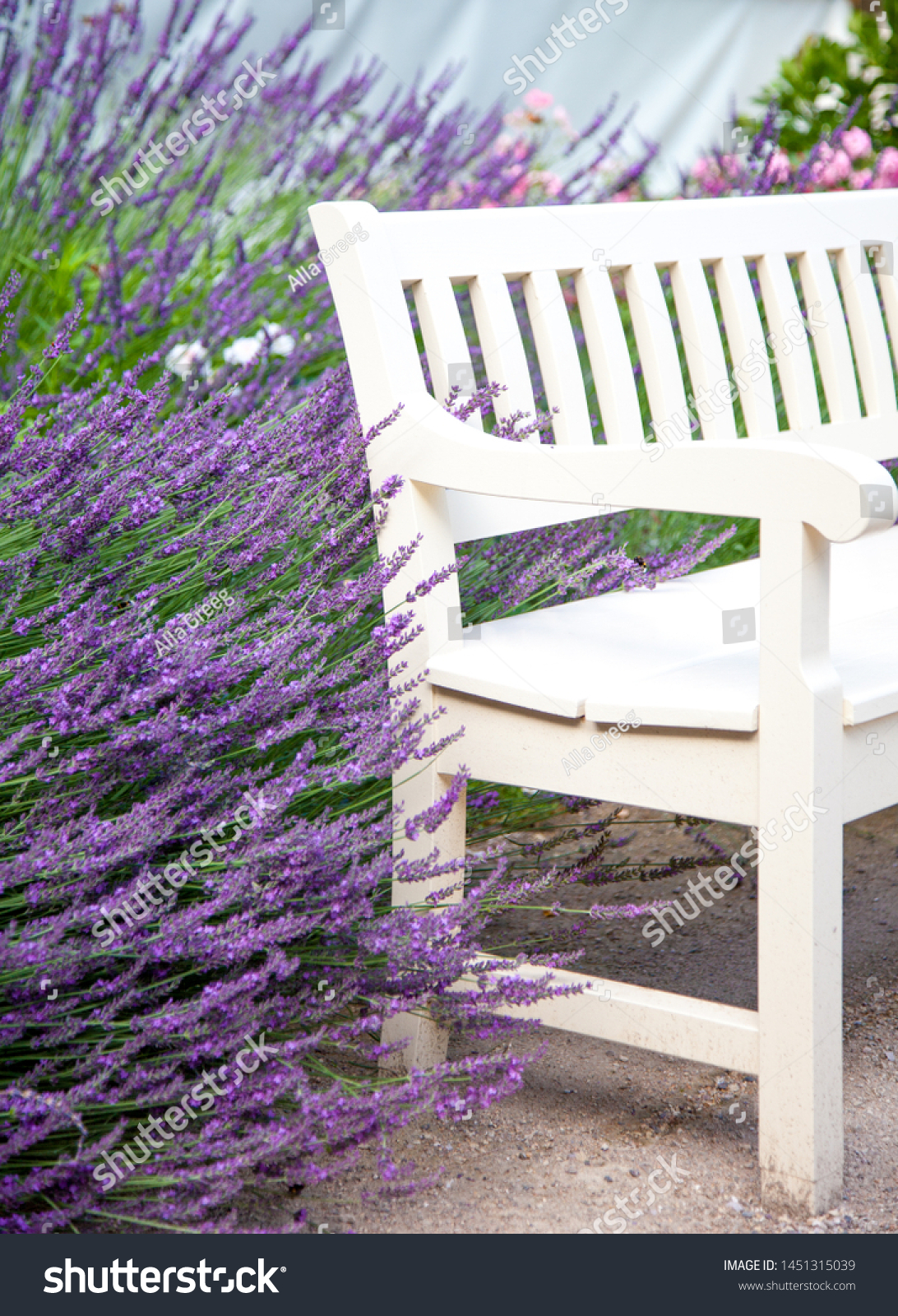 White Wooden Bench Garden Among Bushes Stock Photo Edit Now