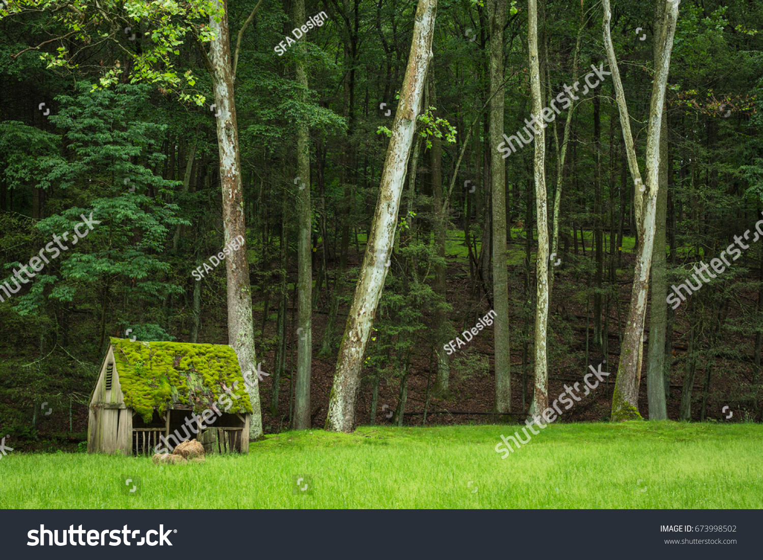 Wide Shot Cuttalossa Farm Sheep Shed Stock Photo Edit Now 673998502