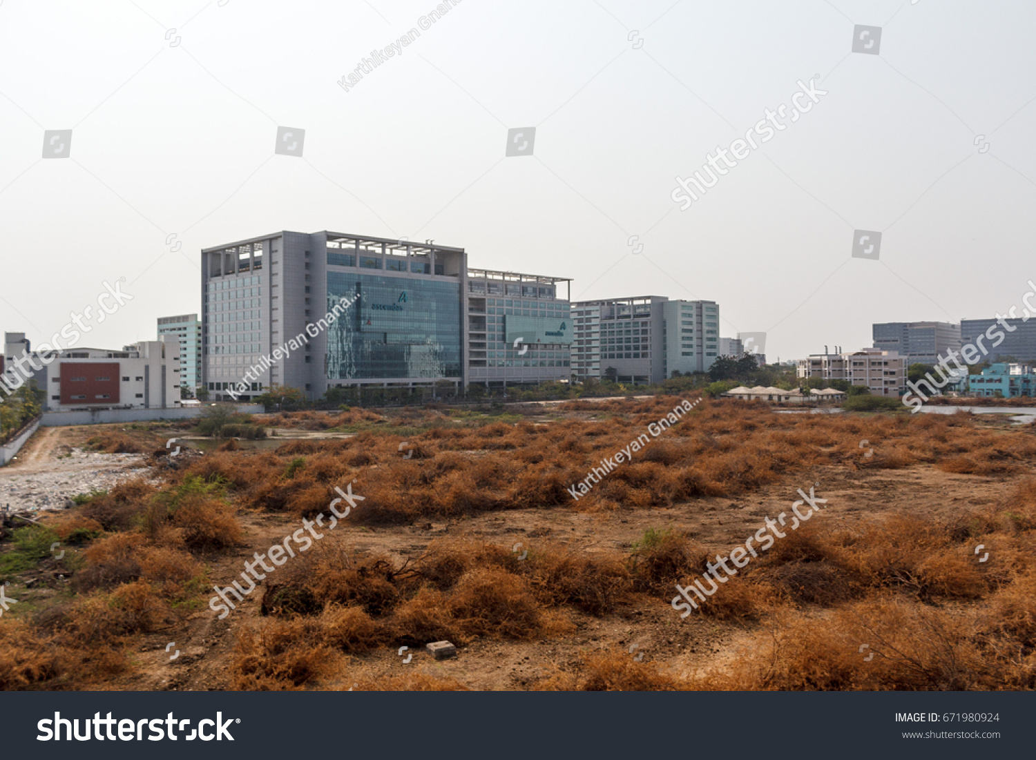 Wide View Dried Brown Grass Field Stock Photo Edit Now