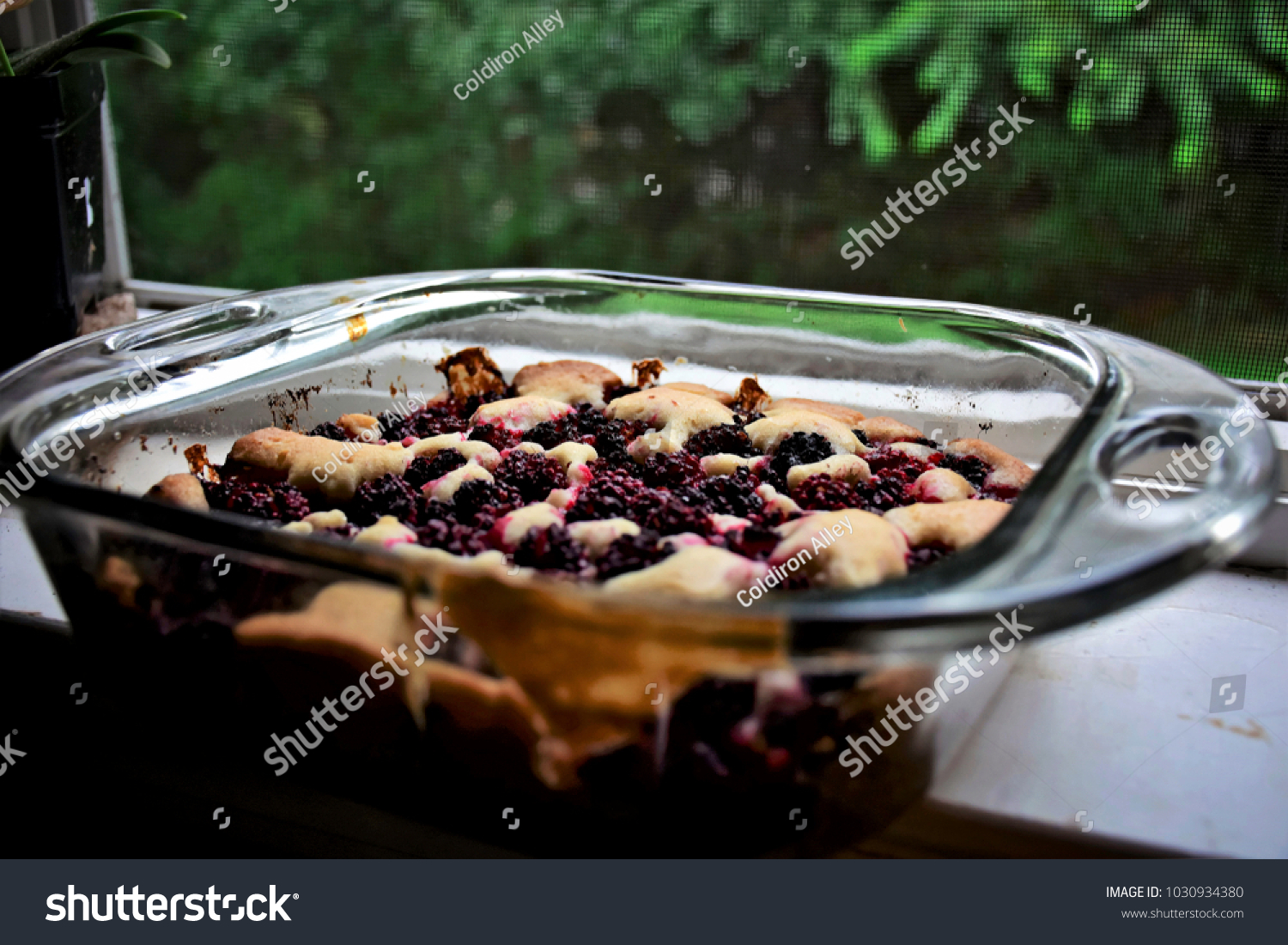 Wild Blackberry Cobbler Cooling On Windowsill Stock Photo Edit