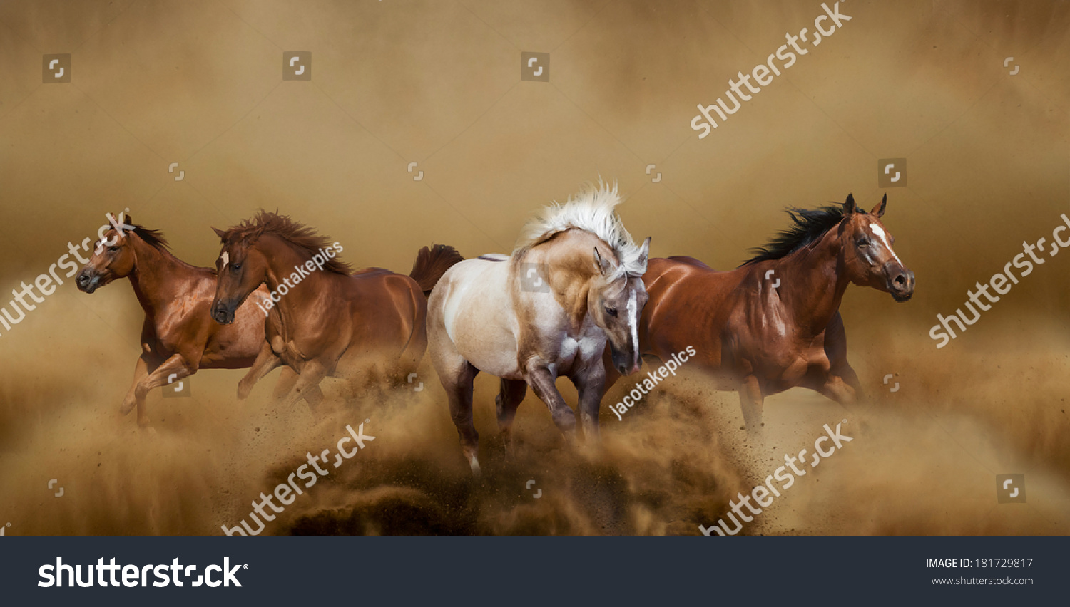 Wild Horses Running Stock Photo 181729817 : Shutterstock