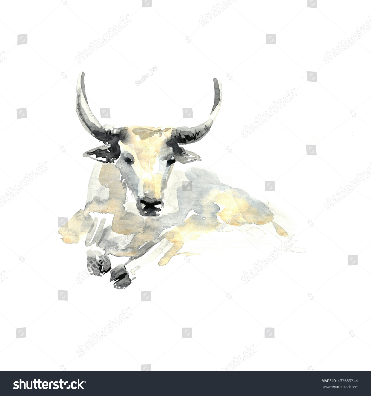 Wild Yak Watercolor Painting On Paper Stock Illustration 437669344 ...