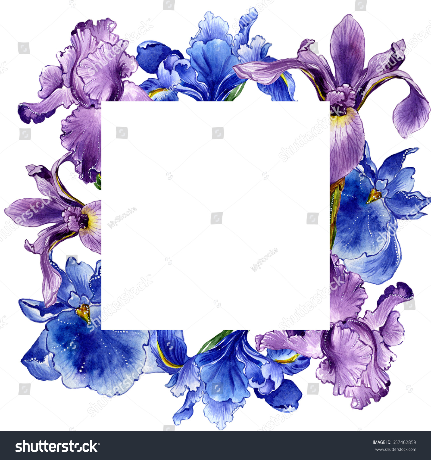 Wildflower Iris Flower Frame Watercolor Style Stock Illustration ...