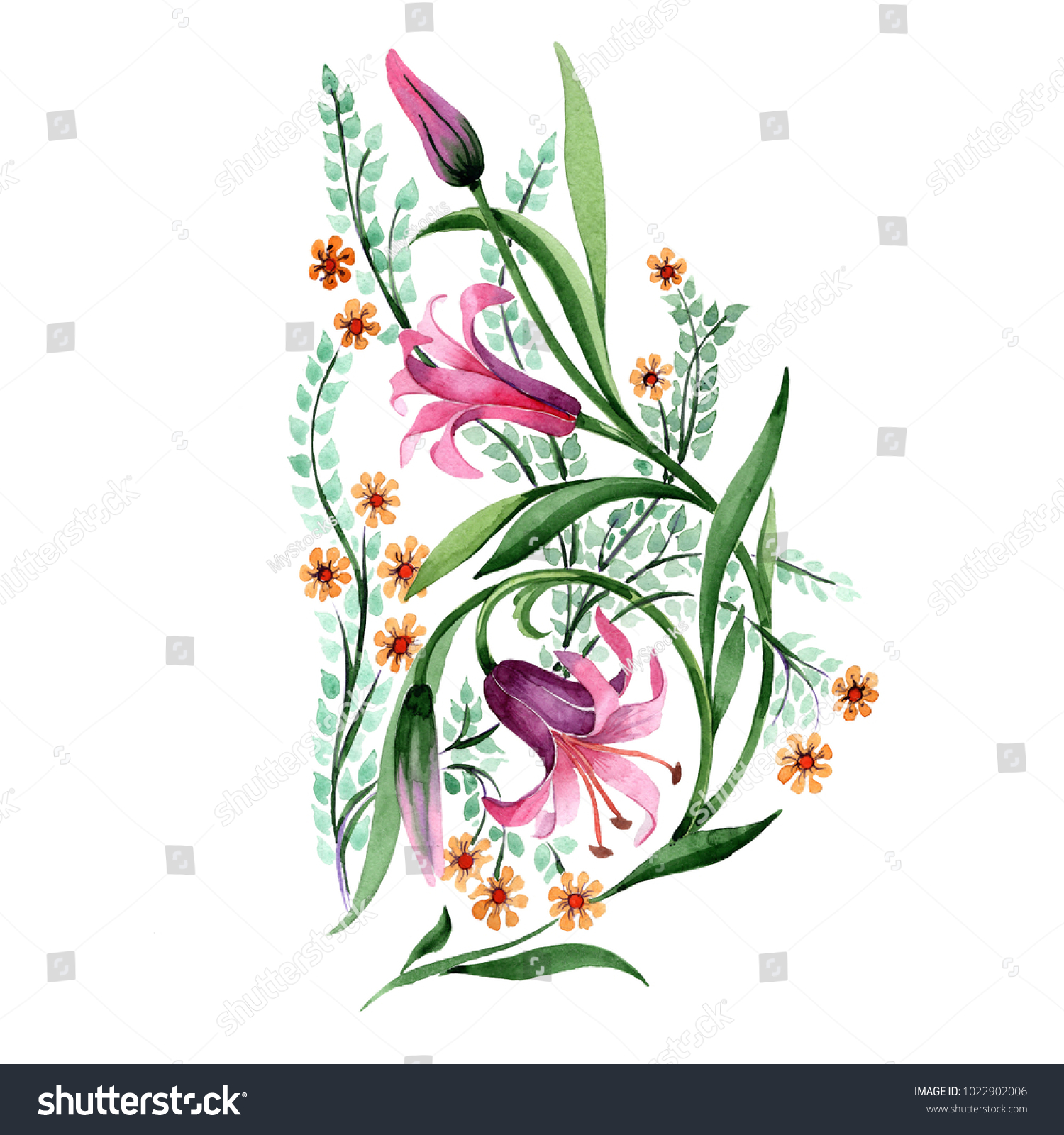 Wildflower Ornament Flower Watercolor Style Isolated Stock Illustration ...