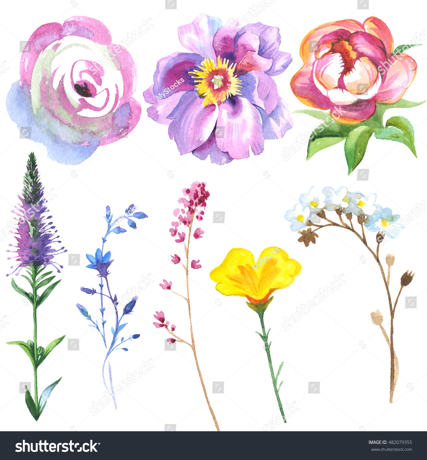 山の花は 牧草地 デイジー カラ ワックスフラワーの4種類の花で 水彩画をセット アクアレルの野生の花は 背景 テクスチャー パターン 枠 縁取り タトゥーに使用できます のイラスト素材 Shutterstock