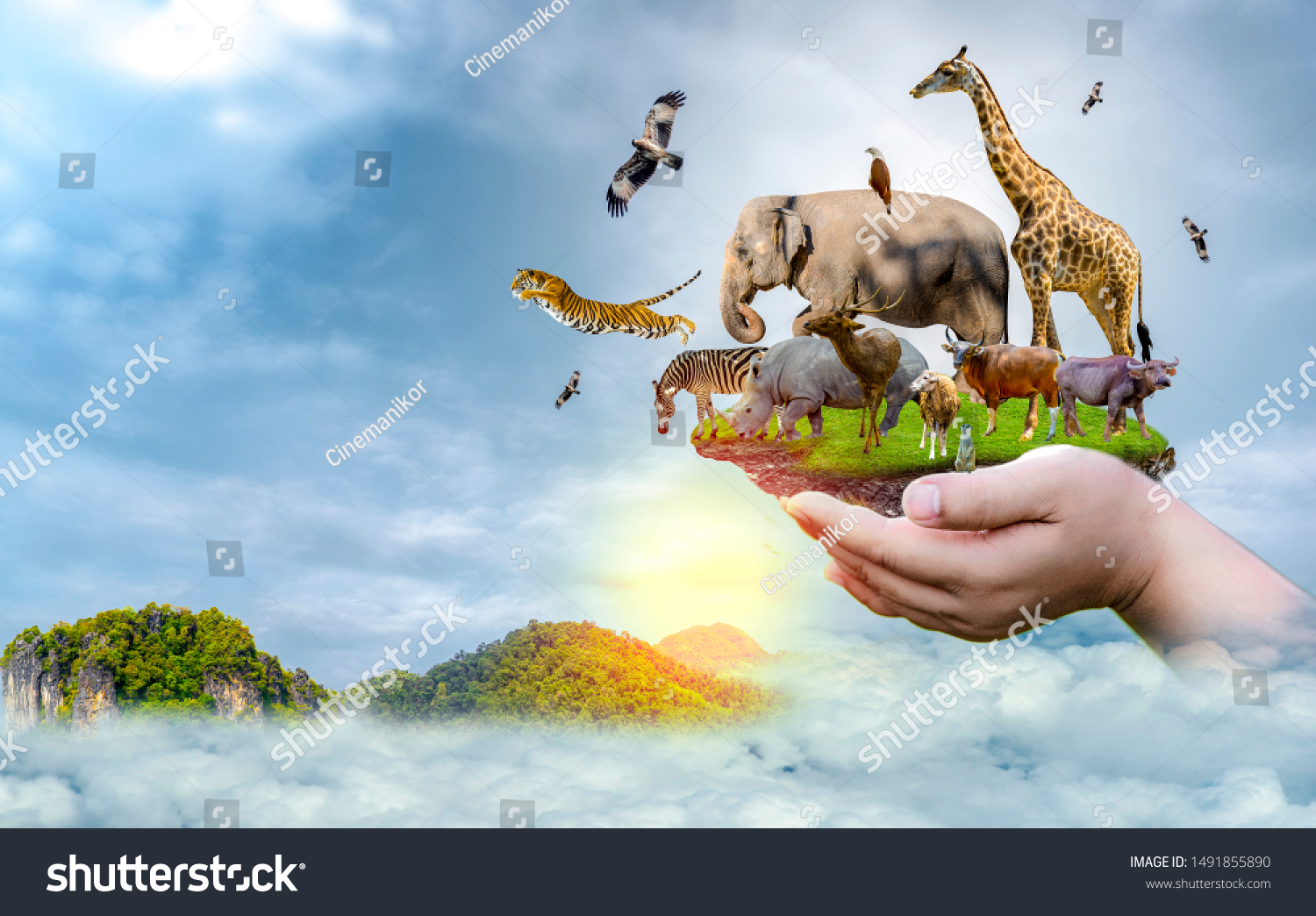 Wildlife Conservation Day Wild Animals Home Stock Photo (Edit Now ...