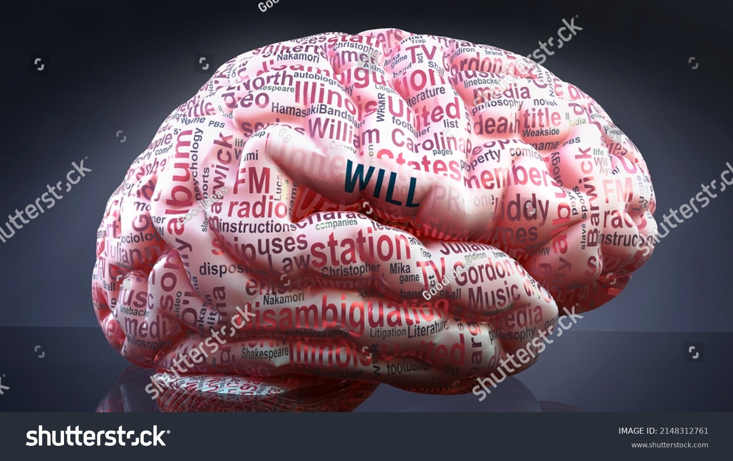 Will Human Brain Hundreds Crucial Terms Stock Illustration 2148312761 ...