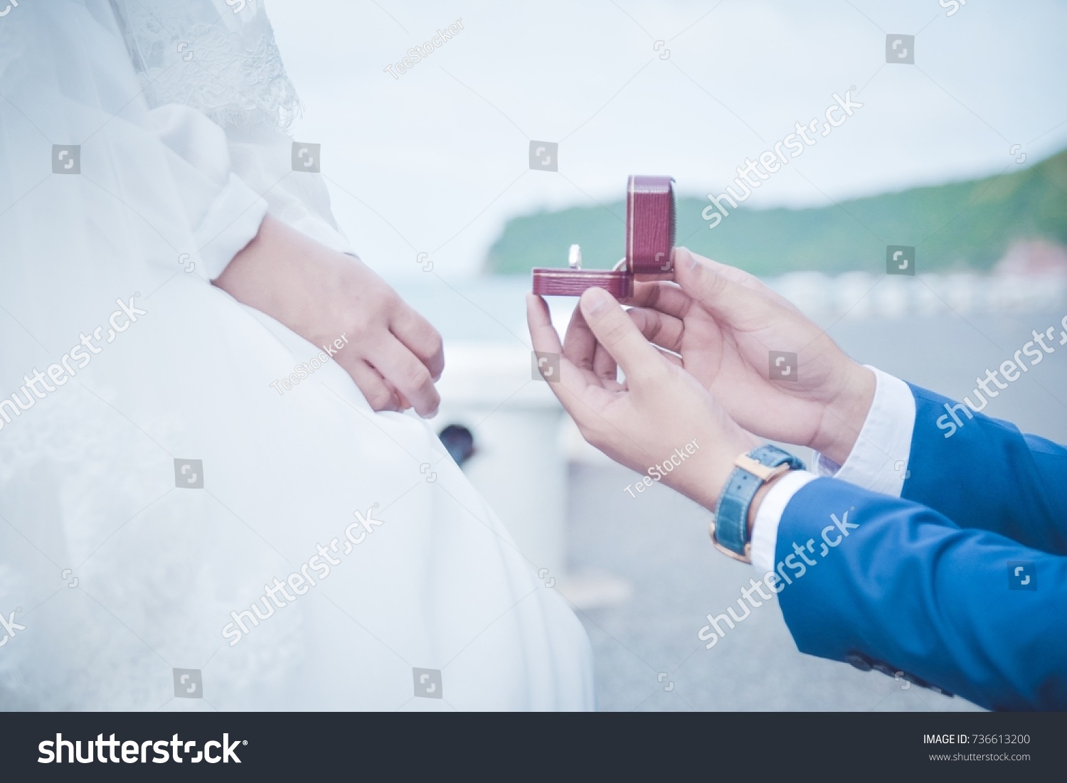 Will You Marry Me Please Stock Photo Edit Now