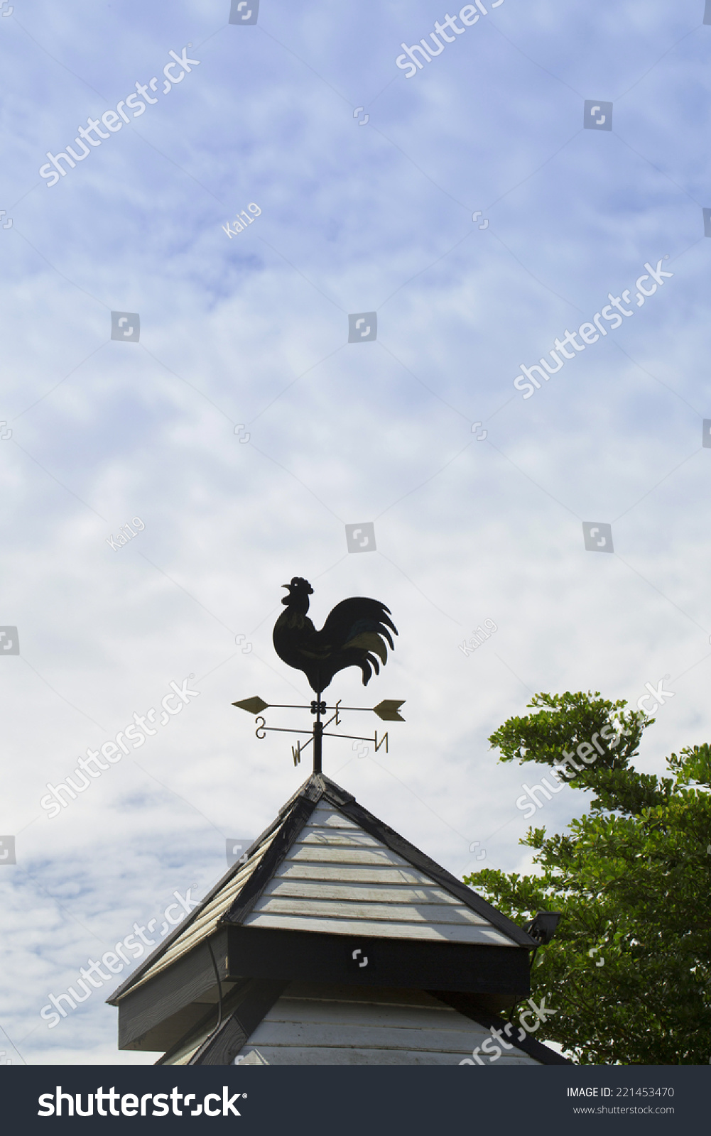 Roof-Top Cock!