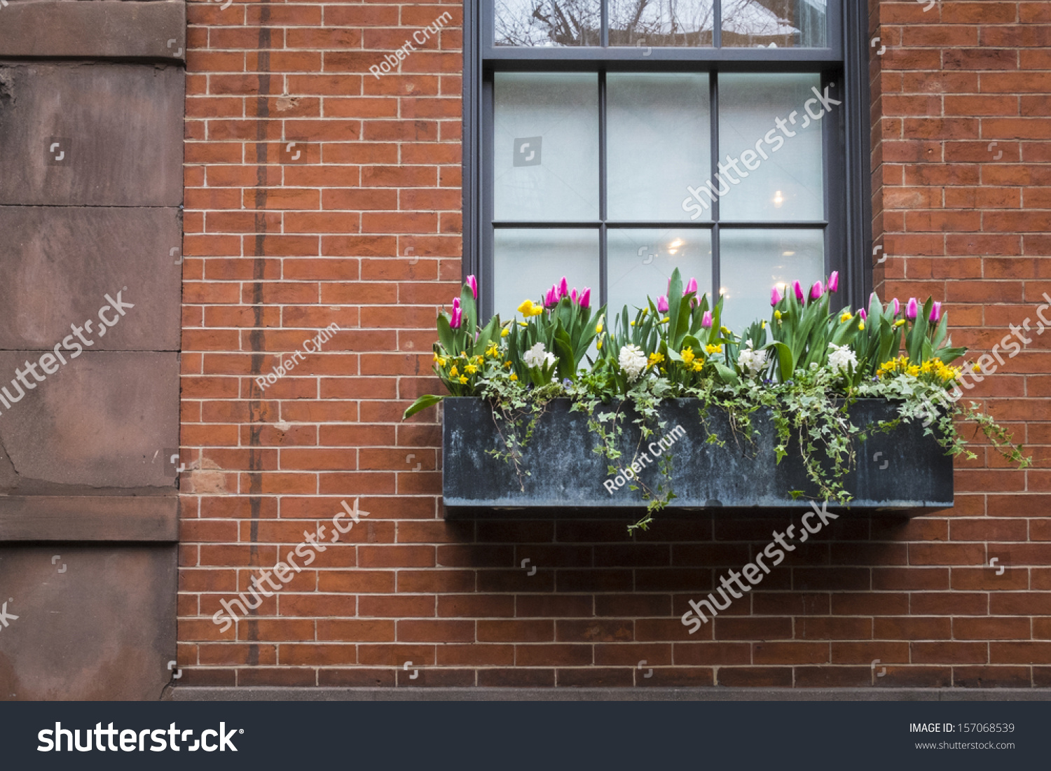 Brick Apartment Building Window window box spring flowers on old stock photo 157068539 - shutterstock Brick Apartment Building Window window box spring flowers on old stock photo 157068539 - shutterstock