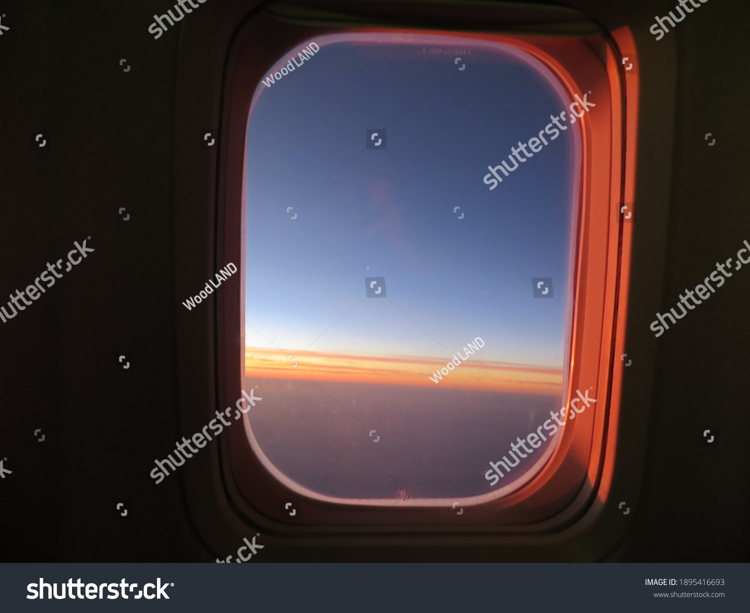 view out of plane window