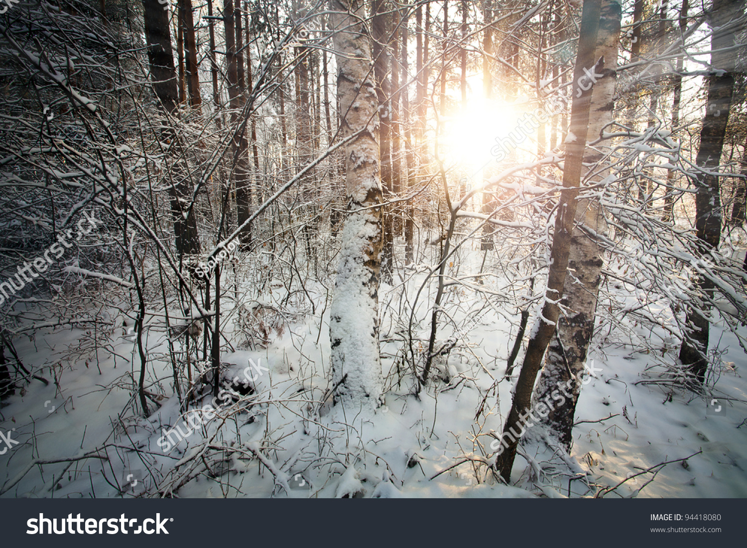 Winter Deciduous Forest With Sunbeams Over The Trees Stock Photo ...