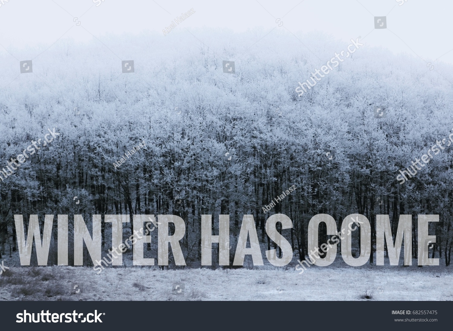 Winter Has Come Text Winter Scene Stock Photo (Edit Now) 682557475