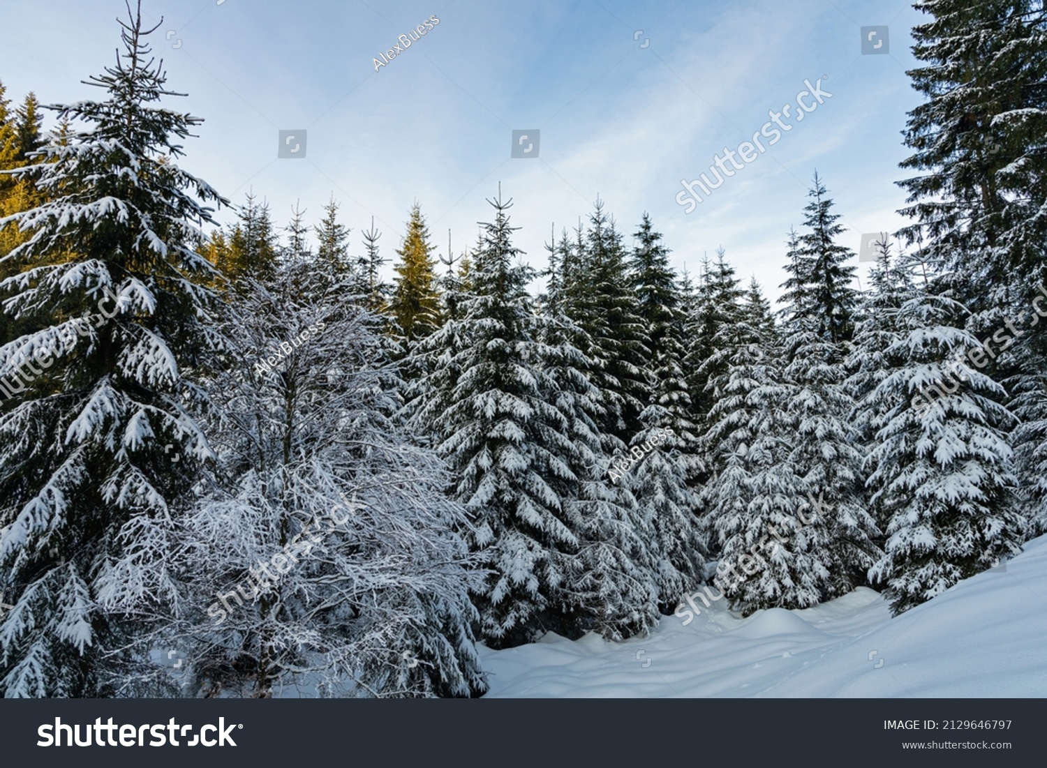 Frauenwald Images, Stock Photos & Vectors | Shutterstock