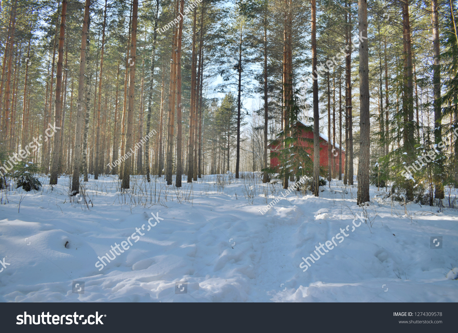 Winter Landscape Barn Forest Finland Stock Photo Edit Now