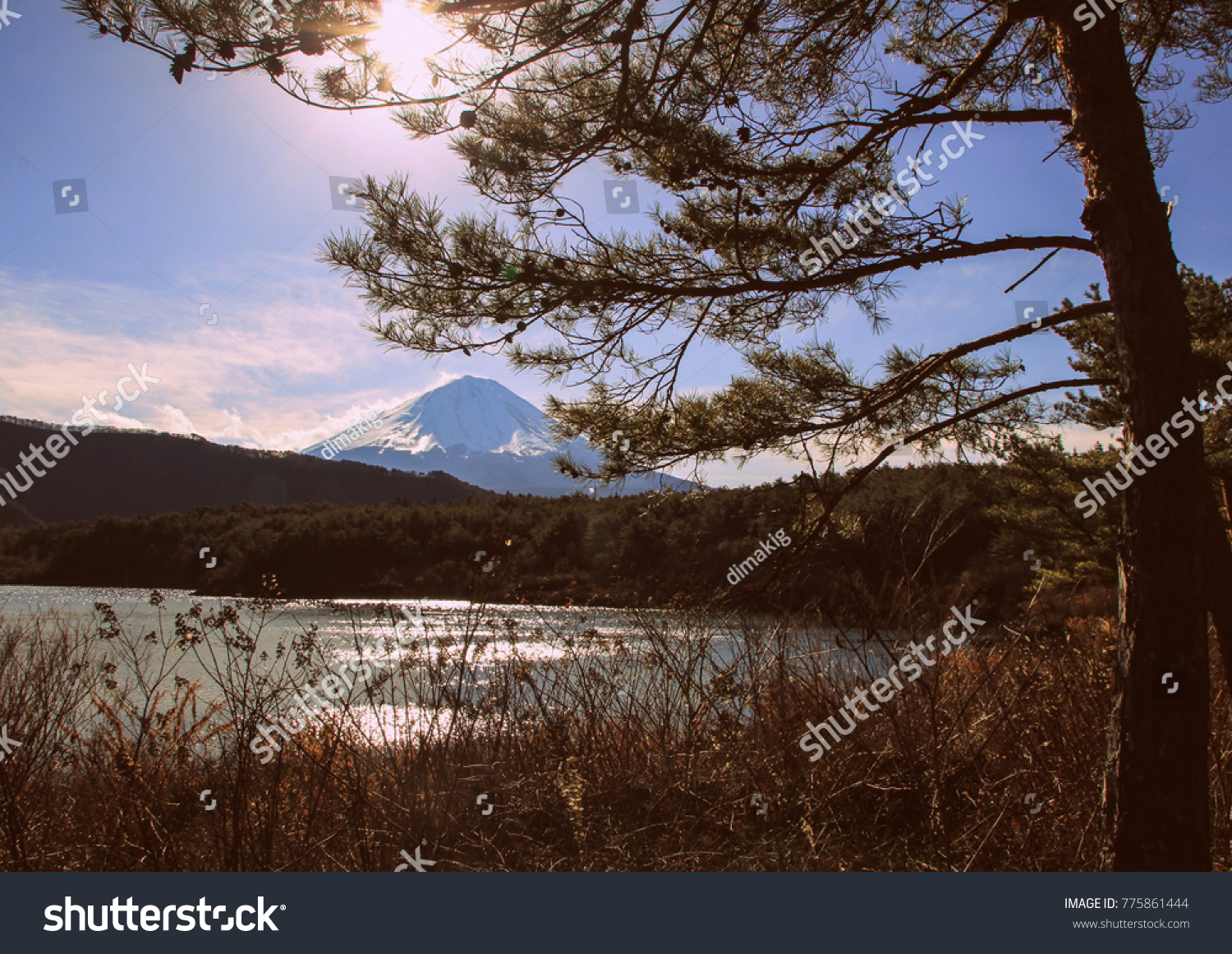 Winter Landscape Mount Fuji Forest Lake Stock Photo Edit Now 775861444