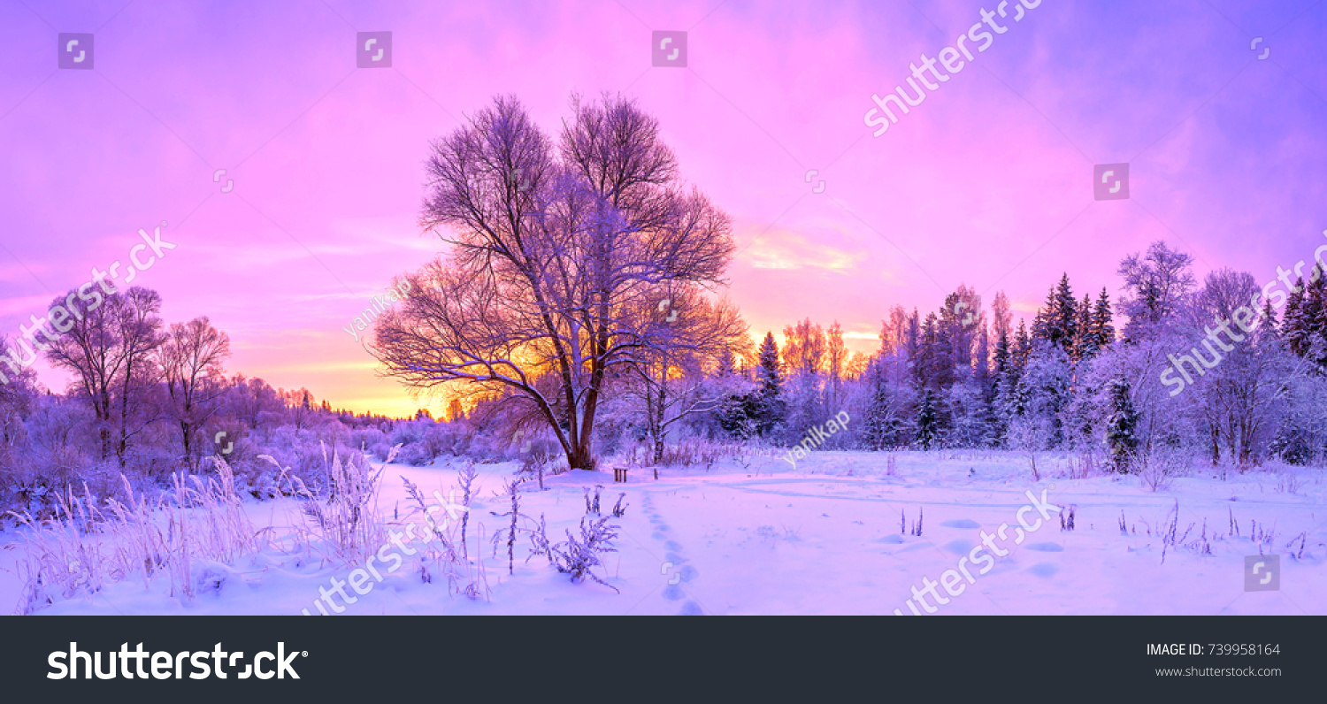 577,925 Morning snow Images, Stock Photos & Vectors | Shutterstock