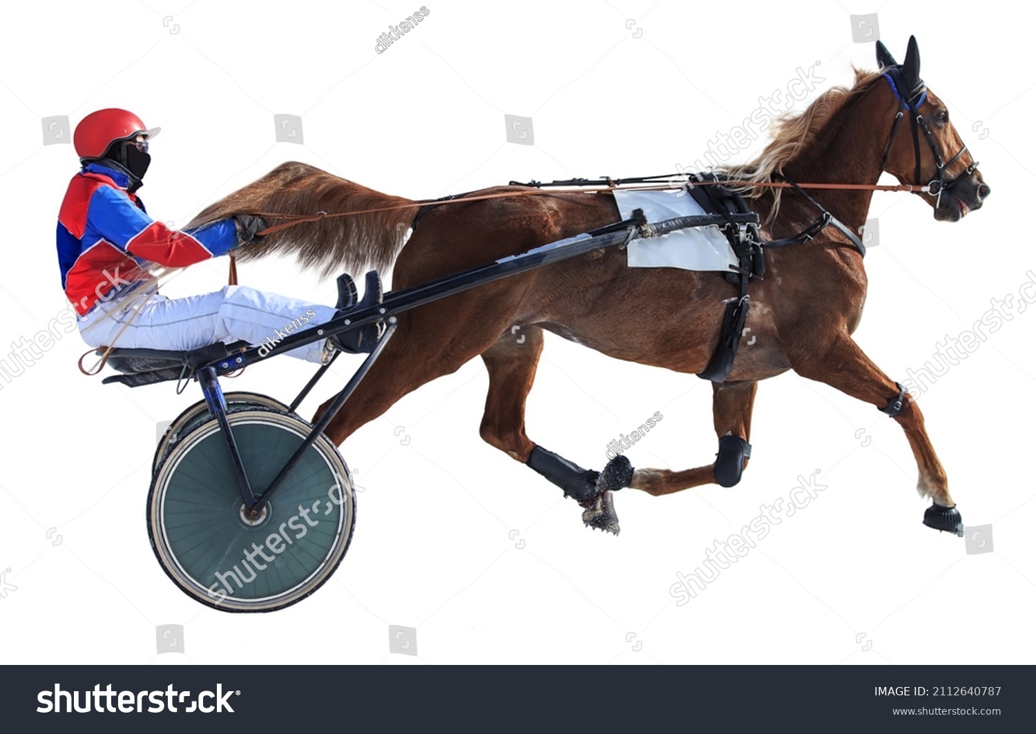 Winter Running Horses Racetrack Racing Isolated Stock Photo 2112640787 ...