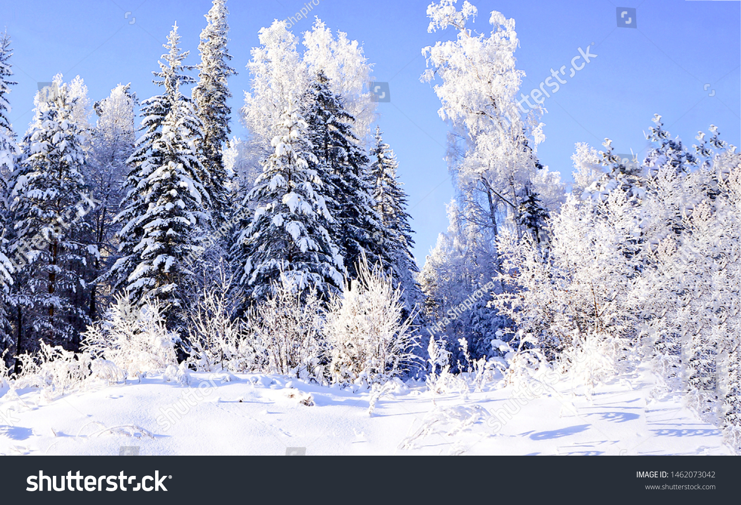 冬の雪林の木の背景 雪の多い冬の森の風景 冬の雪林の景色 冬林雪景色 の写真素材 今すぐ編集