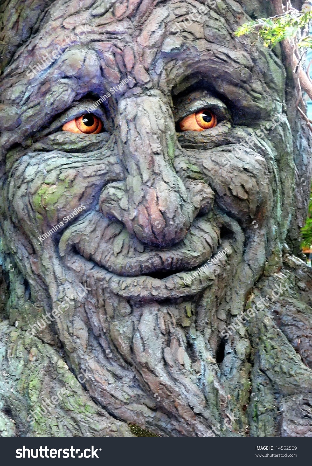 Wise Old Tree Stock Photo 14552569 : Shutterstock