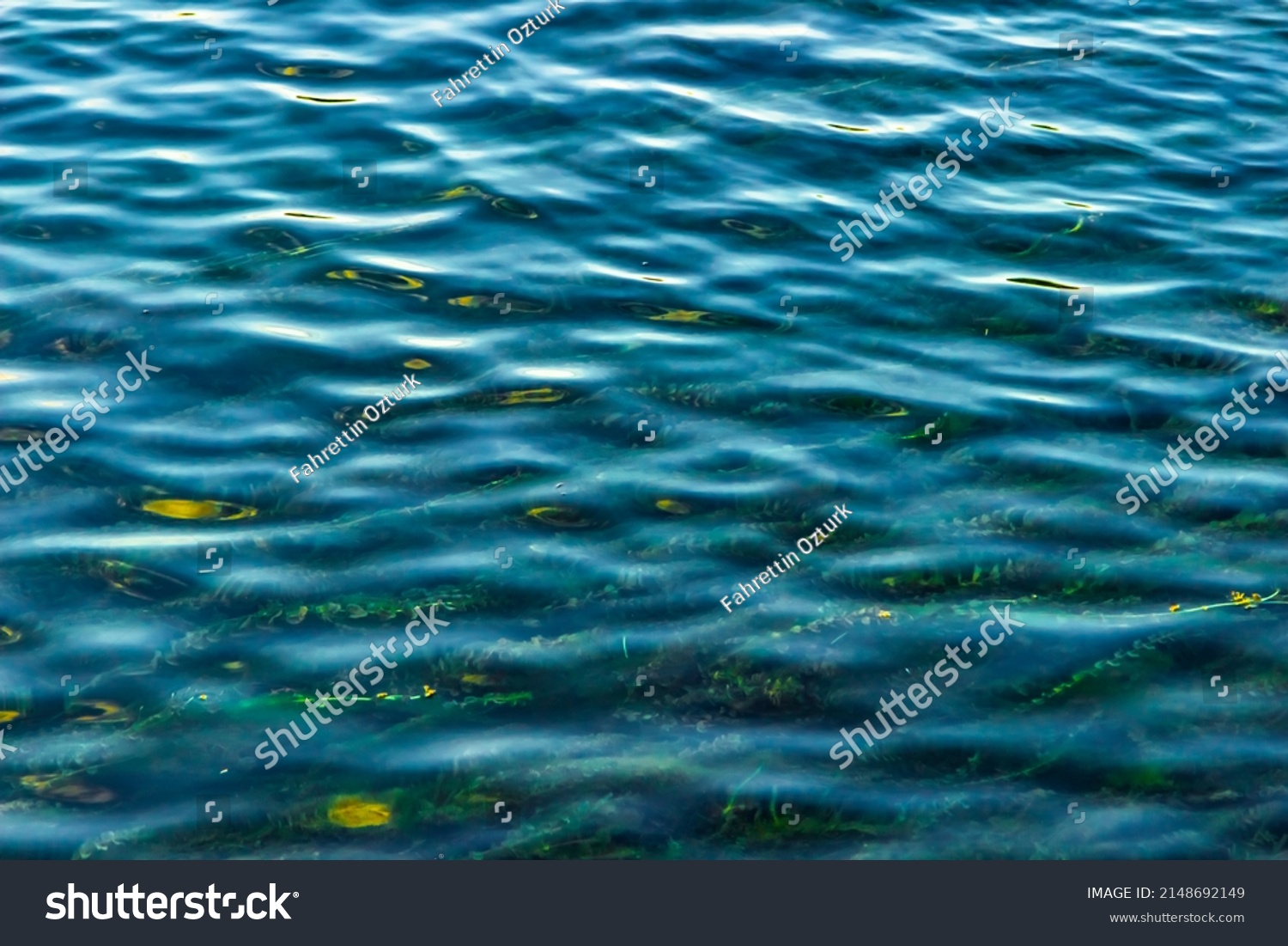 Algae Water Texture Green Algae Underwater Stock Photo 2148692149 ...