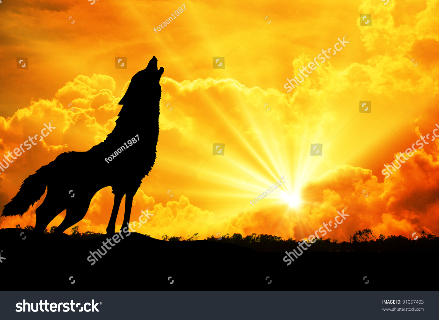 Sunrise Wolf Girl sunrise-wolf-girl