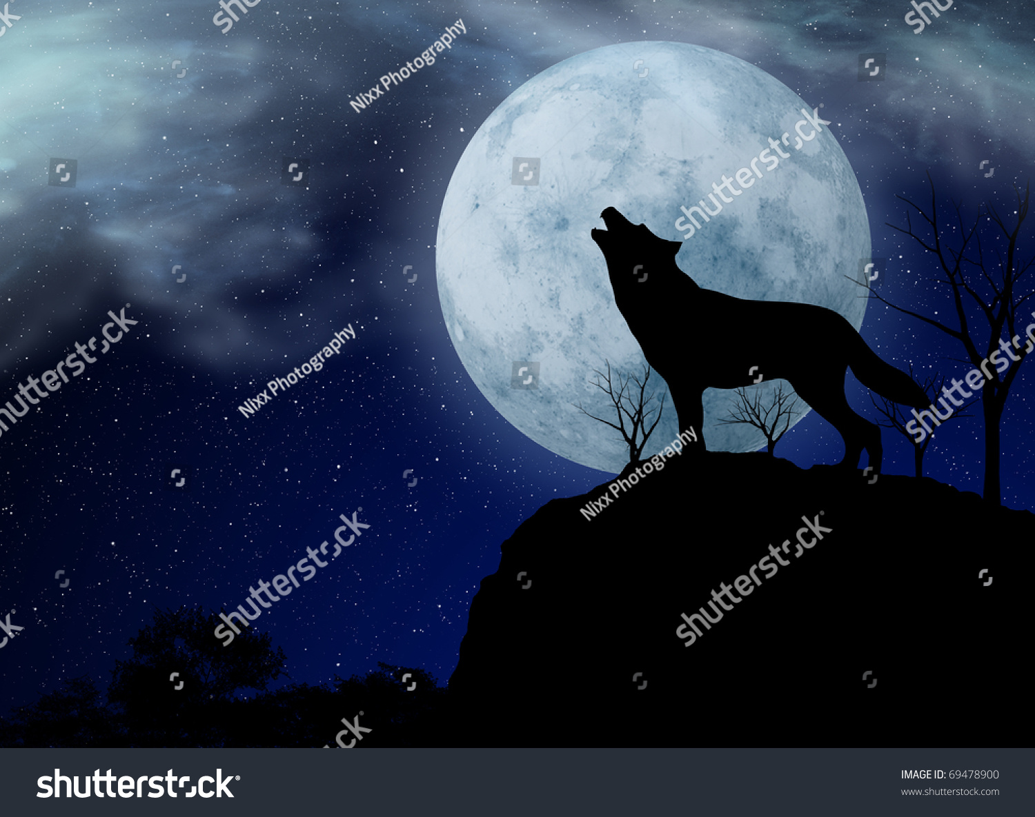 Wolf Howling Under The Full Moon Stock Photo 69478900 : Shutterstock