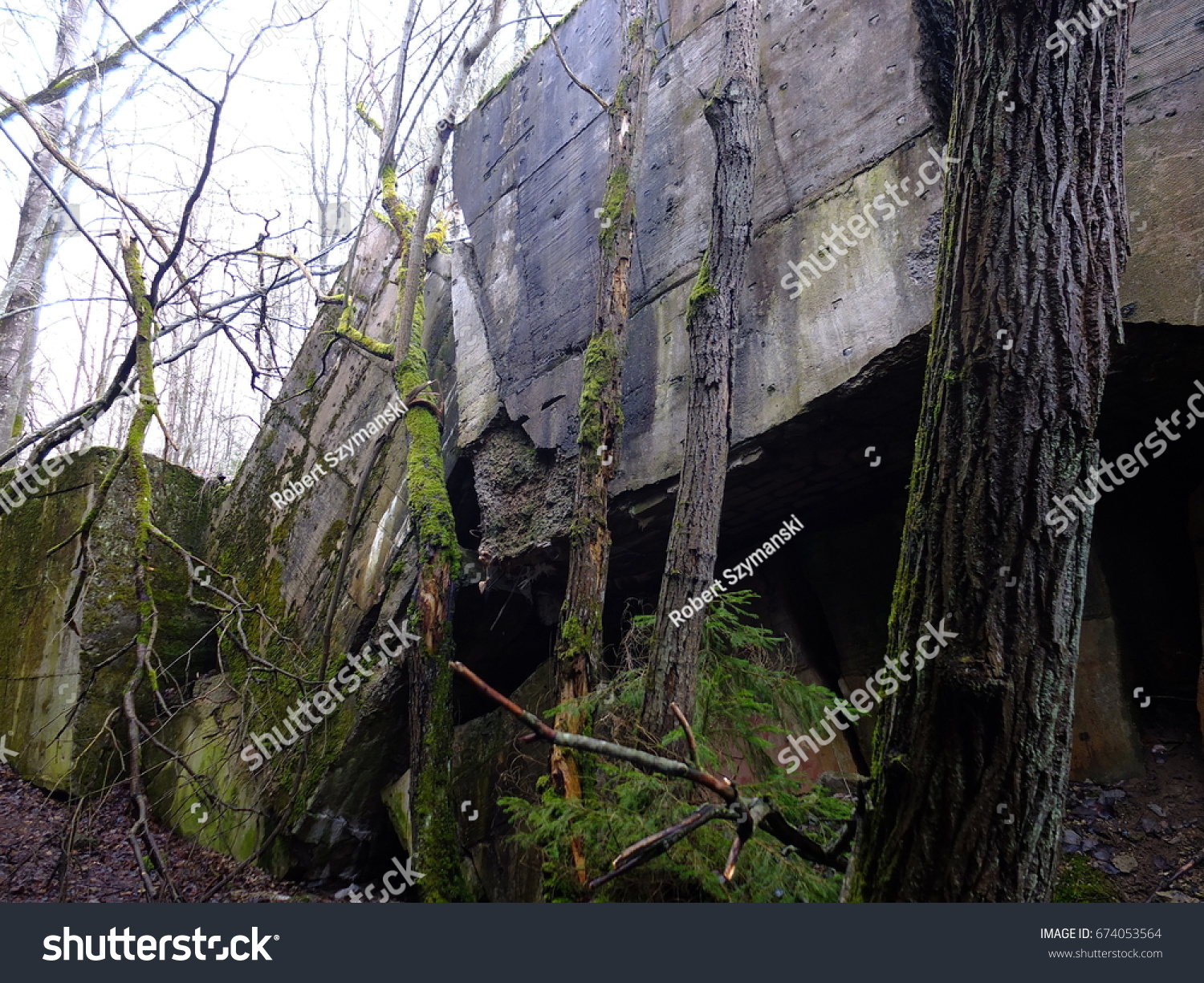 Wolfs Lair Wolfsschanze Wolfschanze Wilczy Szaniec Stock Photo (Edit ...