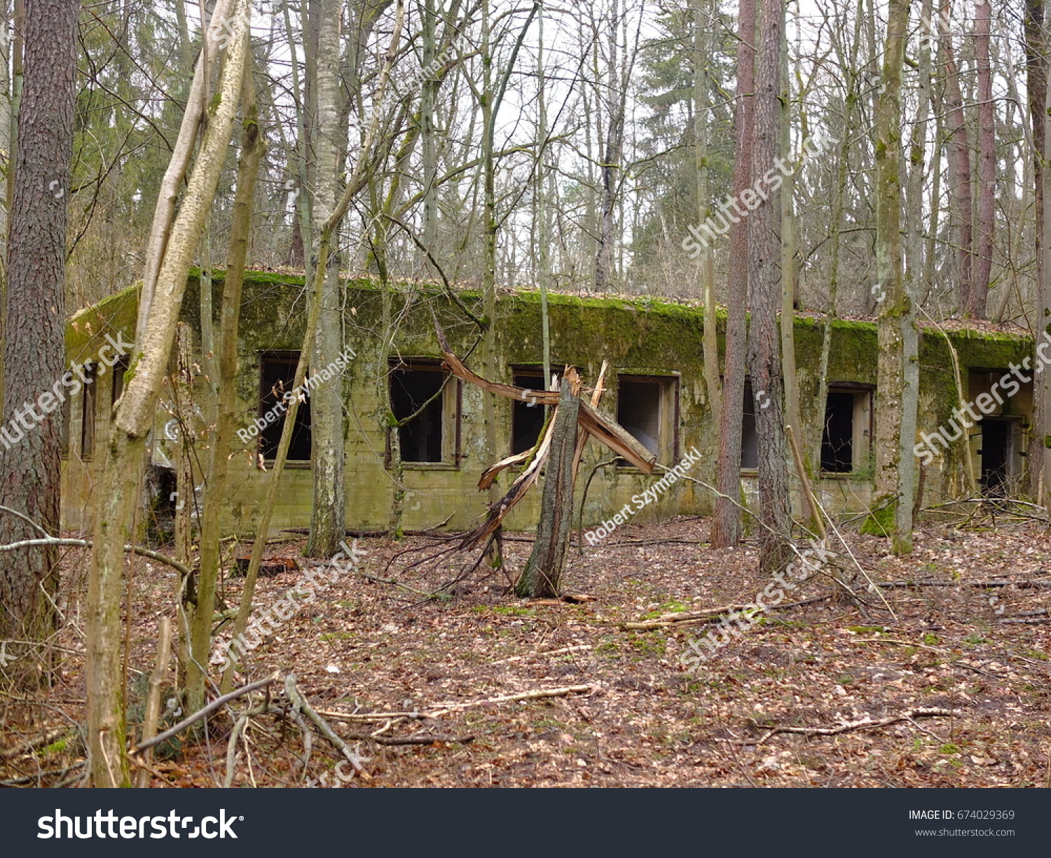 Wolfs Lair Wolfsschanze Wolfschanze Wilczy Szaniec Foto Stok 674029369 ...