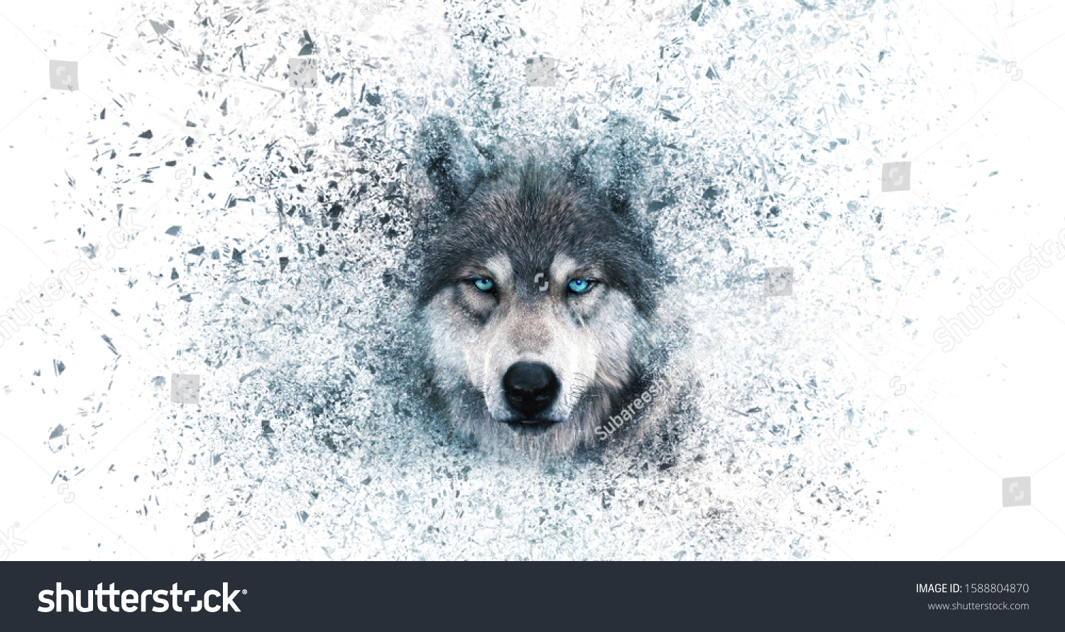 Wolf Wallpaper Decay Effect Stock Photo Edit Now 1588804870