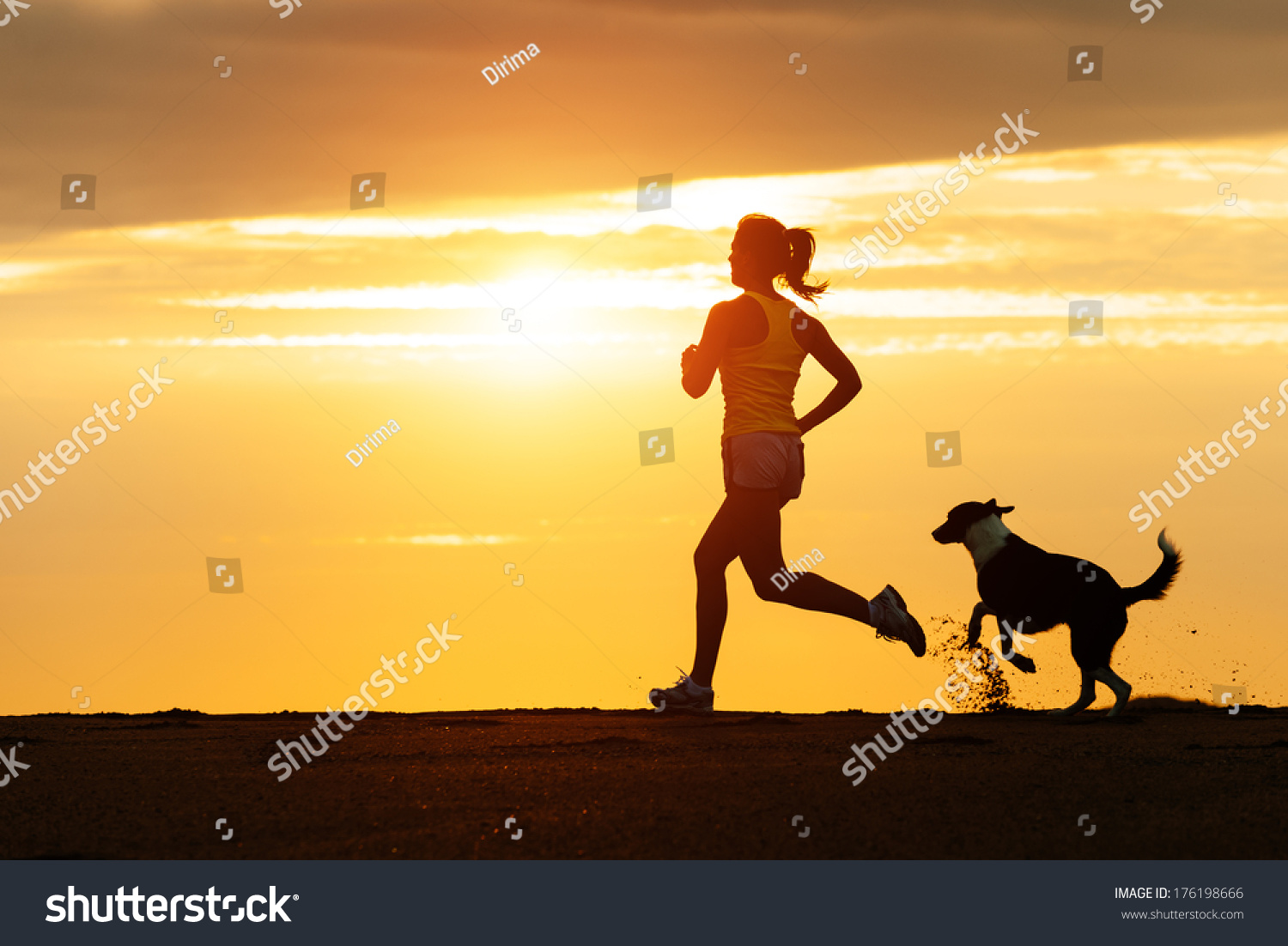 金色の夕日の海岸で自由に走る女と犬 フィットネスガールとペットが一緒に仕事をしている の写真素材 今すぐ編集