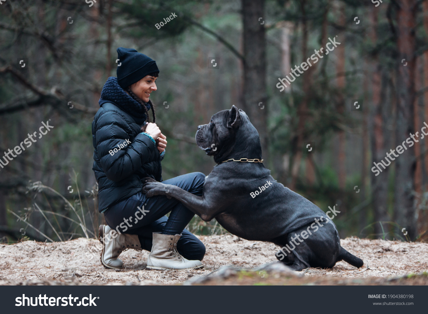 Hakuun Woman Large Brindle Colored Cane Corso Liittyva Arkistovalokuva Muokkaa Nyt 1904380198