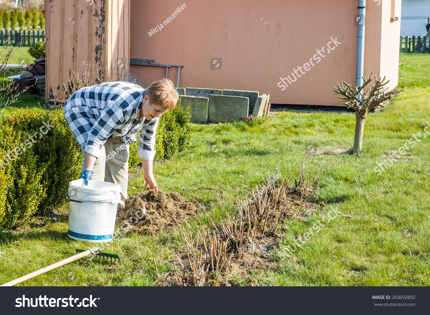 gardening and green thumb essay Green thumb at your service, palatine, il 133 likes green thumb at your service green planet , inc landscape and gmo tossed about quite a bit in gardening. gardening and green thumb essay Green thumb at your service, palatine, il 133 likes green thumb at your service green planet , inc landscape and gmo tossed about quite a bit in gardening.
