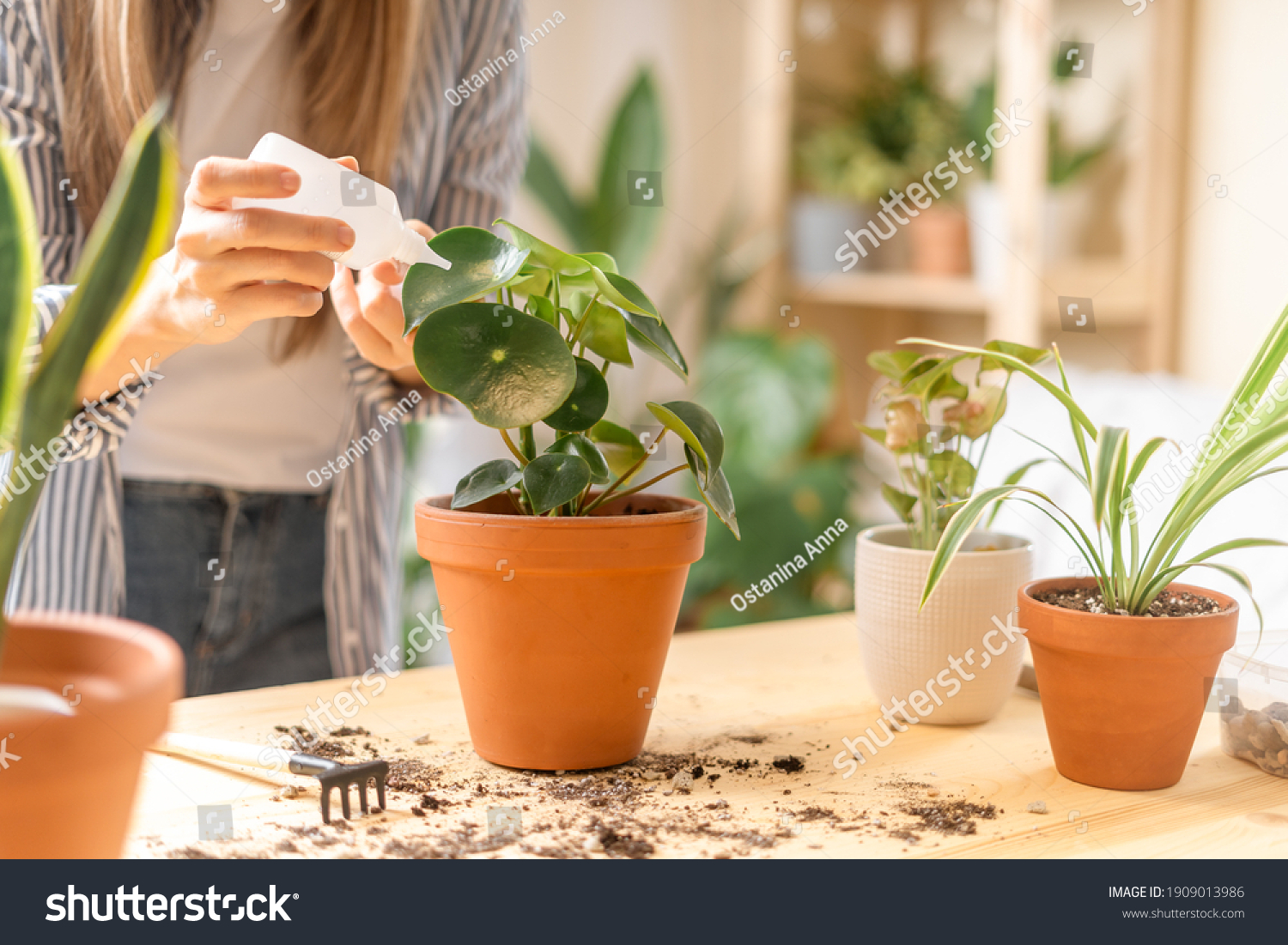 36,376 Home fertilization Images, Stock Photos & Vectors | Shutterstock