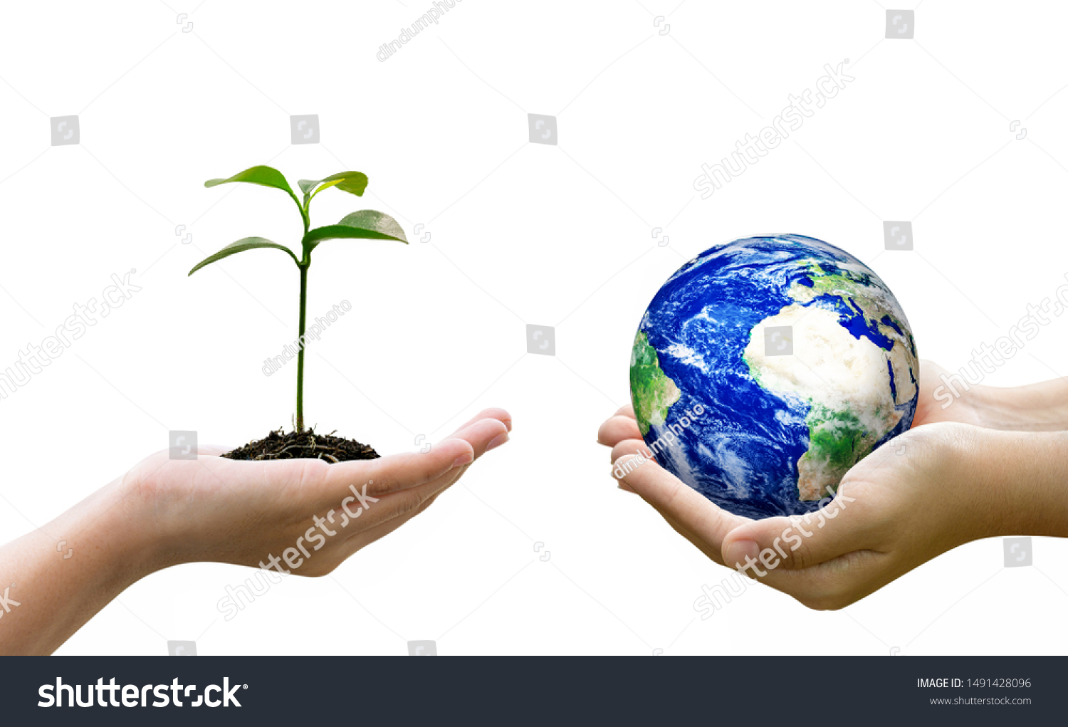 Woman Hands Holding World Globe Holding Stock Photo 1491428096 ...